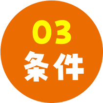 03 条件